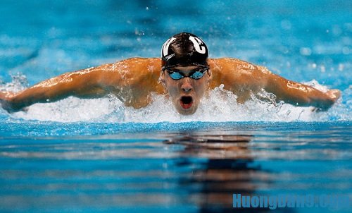 Hướng dẫn kỹ thuật bơi bướm cơ bản đúng phương pháp